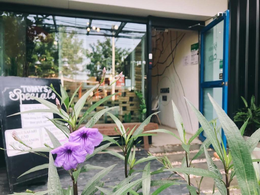 Bloomz Hostel Chiang Mai Zewnętrze zdjęcie